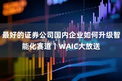 最好的证券公司国内企业如何升级智能化赛道丨WAIC大放送